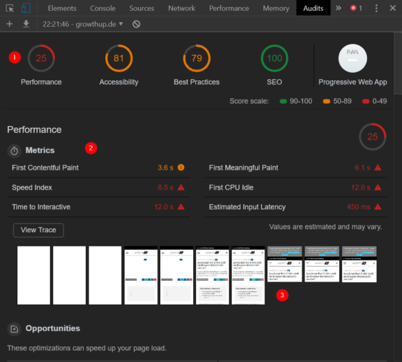 abb.-42-der-lighthouse-report-in-den-devtools-quelle-screenshot-devtools